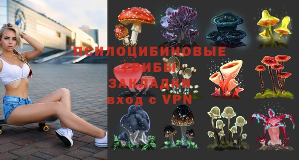 СК Абдулино