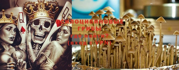 СК Абдулино