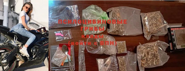 стаф Абаза
