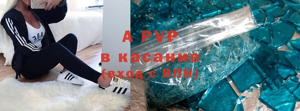 стаф Абаза