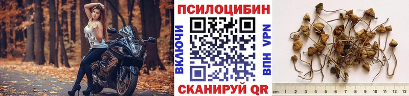 Галлюциногенные грибы прущие грибы  Анадырь 